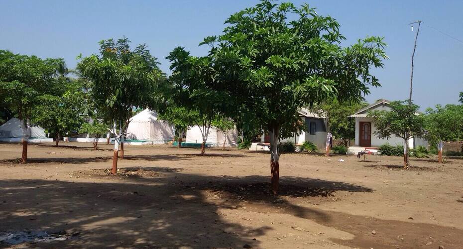 Arsibhai Barad Homestay, Somnath 2